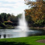 Pond Spray