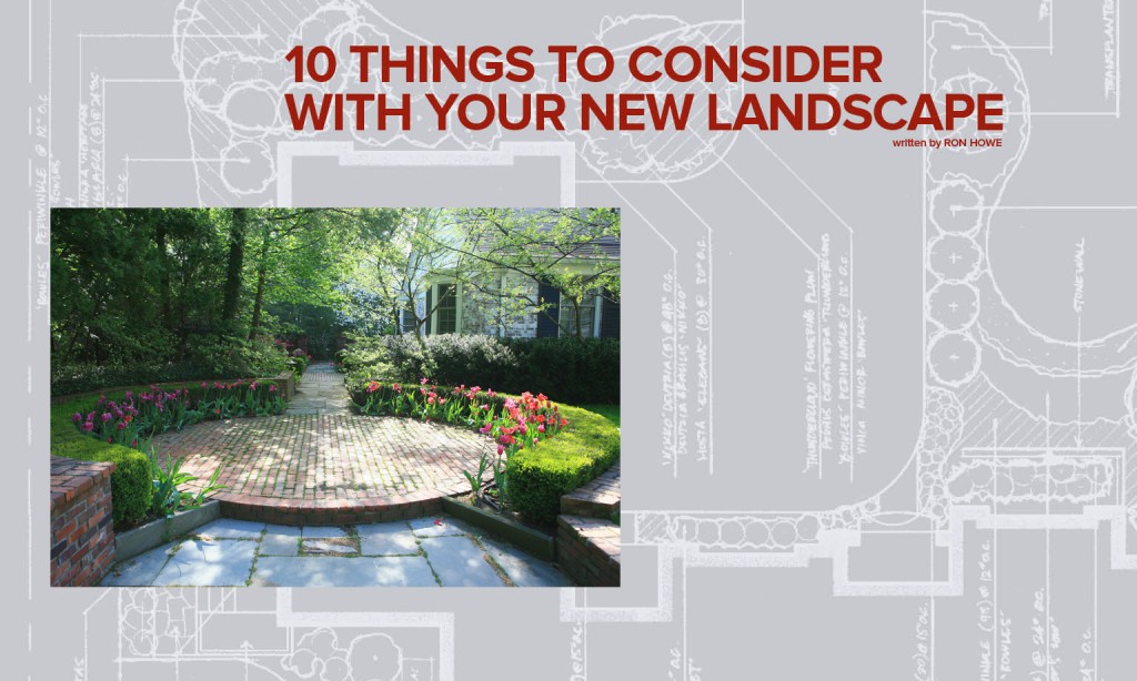 10 things to consider with your landscape