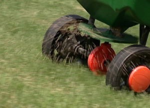 A Little Thing We Call Lawn Seeding & Core Aeration