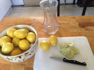 Lemon Herb Water Process