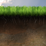 Soil Picture