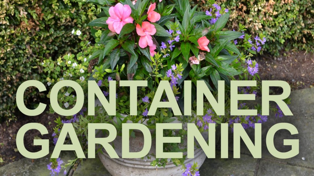 Container Gardening Thumbnail 2