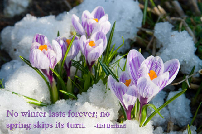 No Winter Lasts Forever!