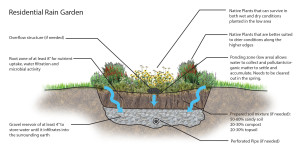 rain garden diagram.psd