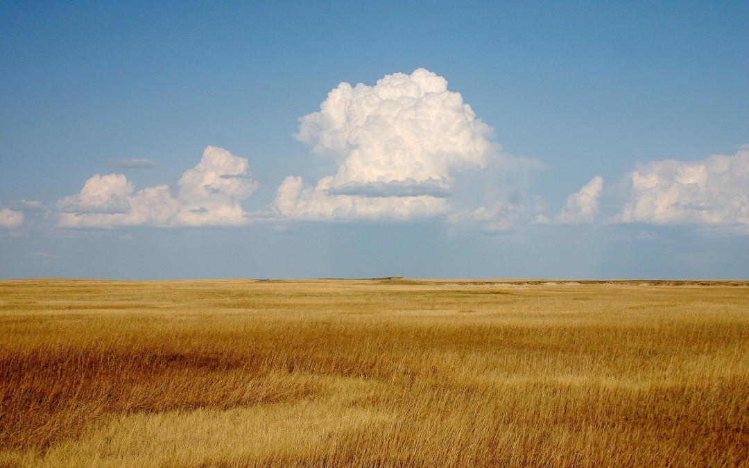 The Wide Open Prairie