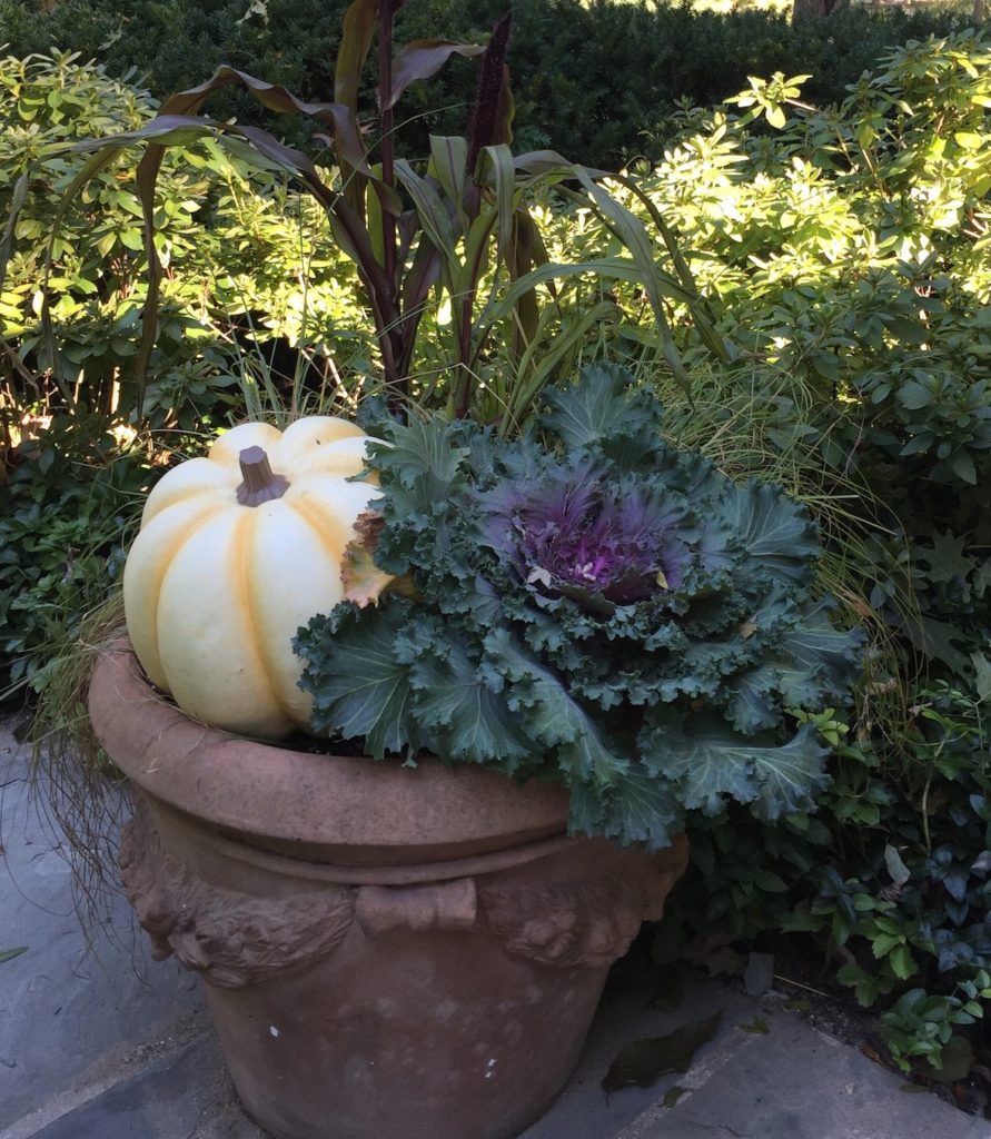 add a faux pumpkin or gourd to pots where squirrels are a problem. 