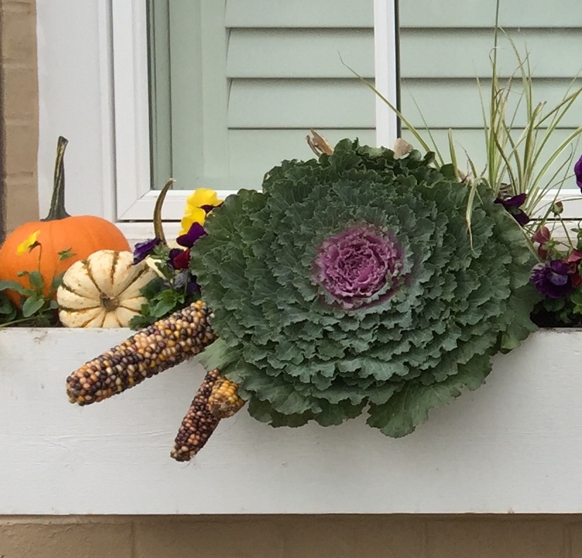 Ornamental corn and mini pumpkins add seasonal beauty to window box.
