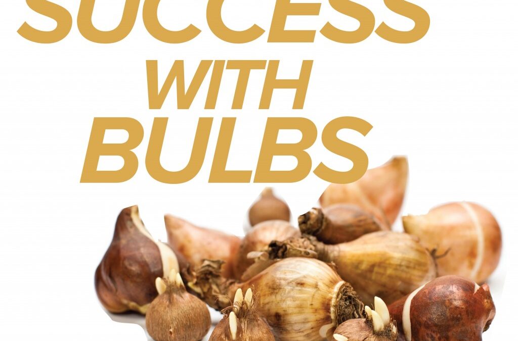 Success with Bulbs